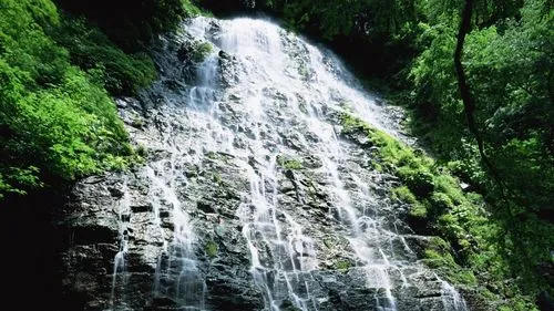 独特稳定性高质量